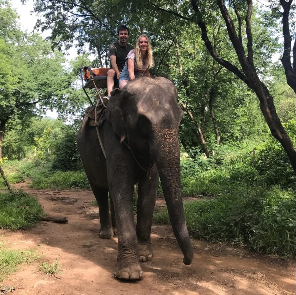 elephant in the room